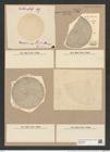 Coscinodiscus simbirskianus Grun. (de-Toni-Nr.: Genus 202, Species 4931) Zeichnungen Sammlung Grunow Nr. 8514 (NHMW-BOT-W0378136)